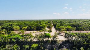 lots sale playa del carmen